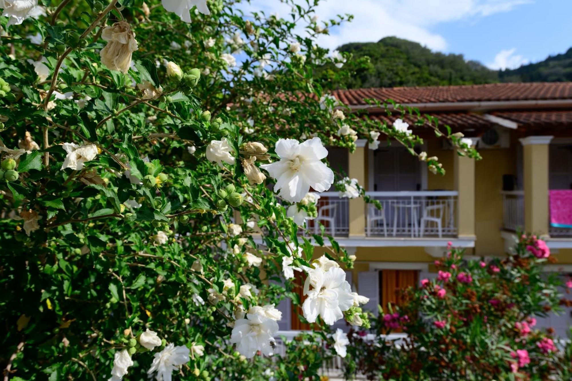 Marina Apartments, Agios Gordios  Extérieur photo